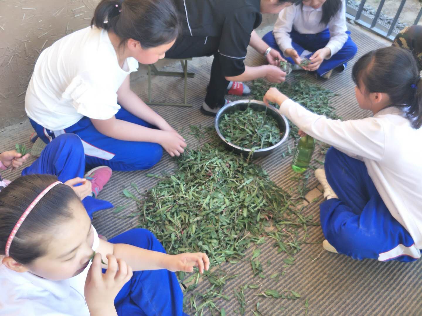 1527320998165685.jpg 1527320998165685.jpg