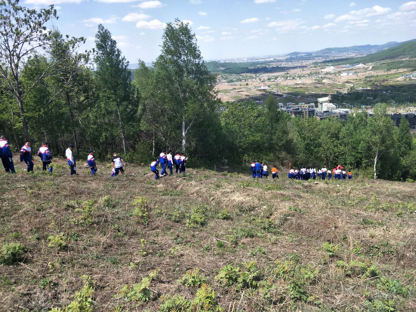 1527320998835063.jpg 1527320998835063.jpg