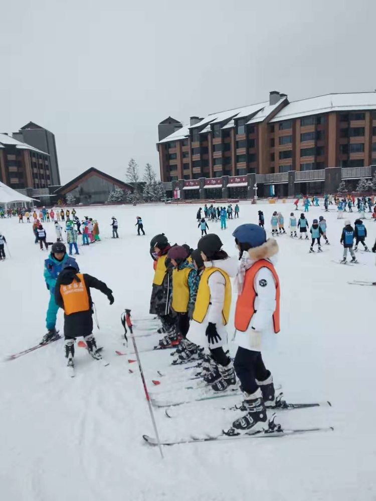 1578365753846243.png image.png